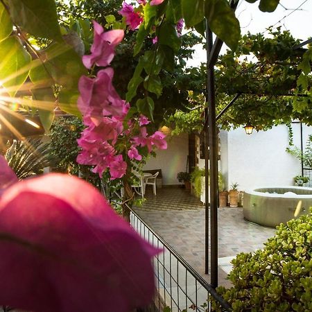 Villa Agia Paraskevi إياليسوس المظهر الخارجي الصورة